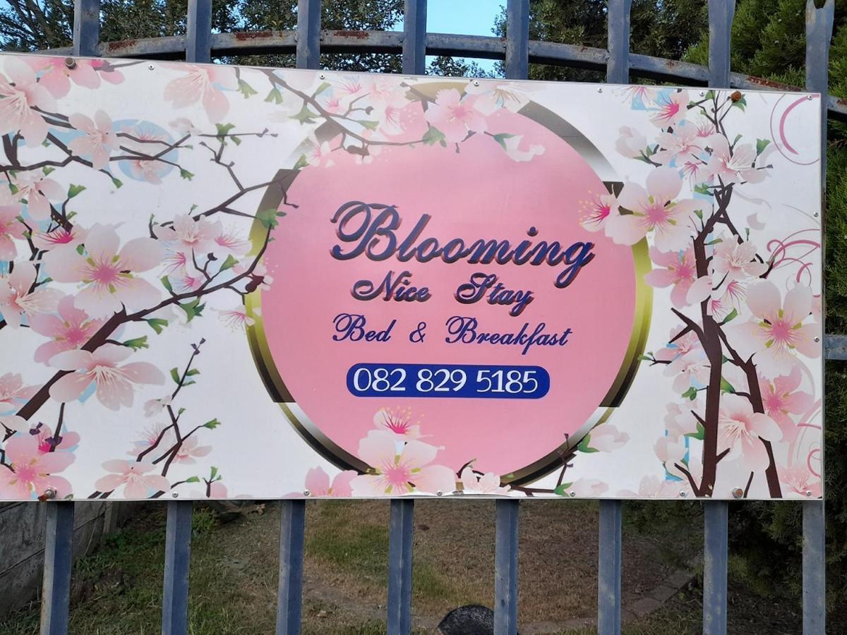 Blooming Nice Stay Harrismith Bagian luar foto